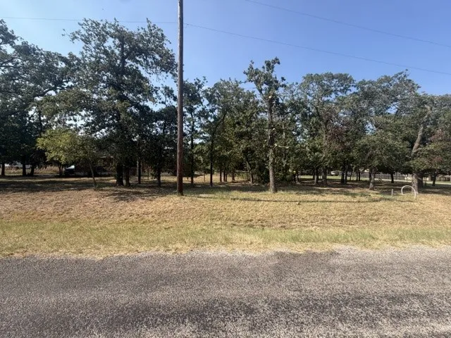 124 Brady Coleman Lane Springtown, TX 76082