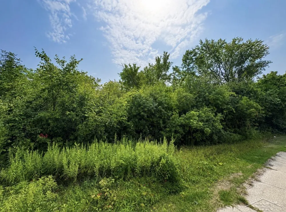 1838 S Warren Avenue Saginaw City, MI 48601