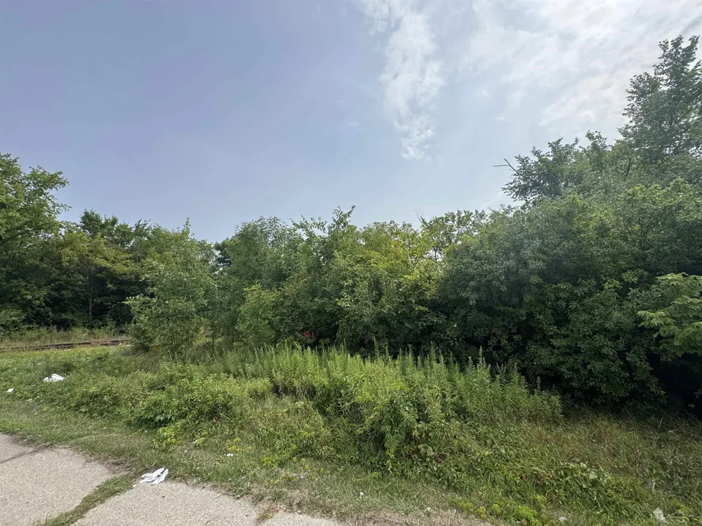 1838 S Warren Avenue Saginaw City, MI 48601