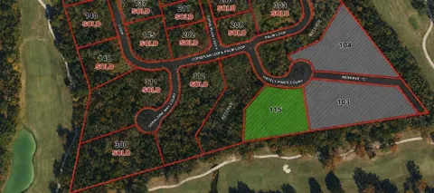 115 Chateau Pines Court