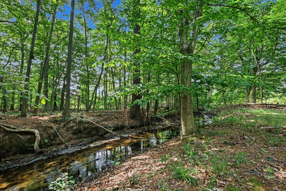 6700 Wildwood Drive Port Sheldon Township, MI 49460
