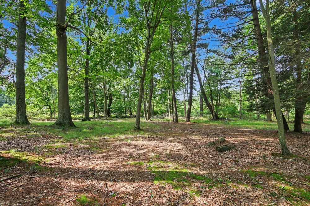 6700 Wildwood Drive Port Sheldon Township, MI 49460
