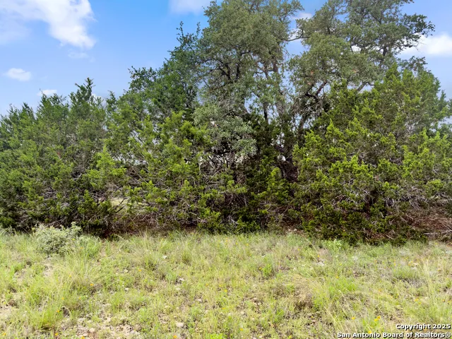 141 Vista View Place Spring Branch, TX 78070