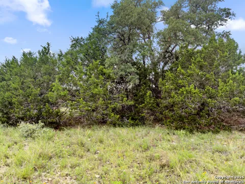 141 Vista View Place