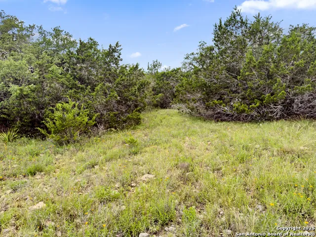 141 Vista View Place Spring Branch, TX 78070
