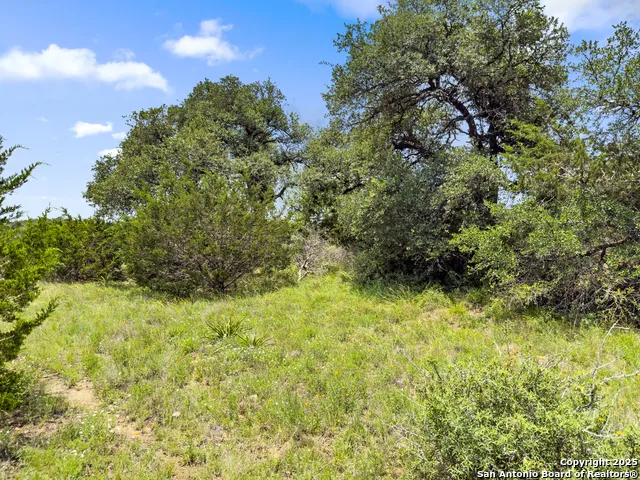 141 Vista View Place Spring Branch, TX 78070