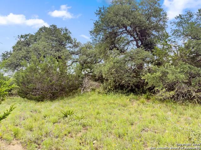 141 Vista View Place Spring Branch, TX 78070