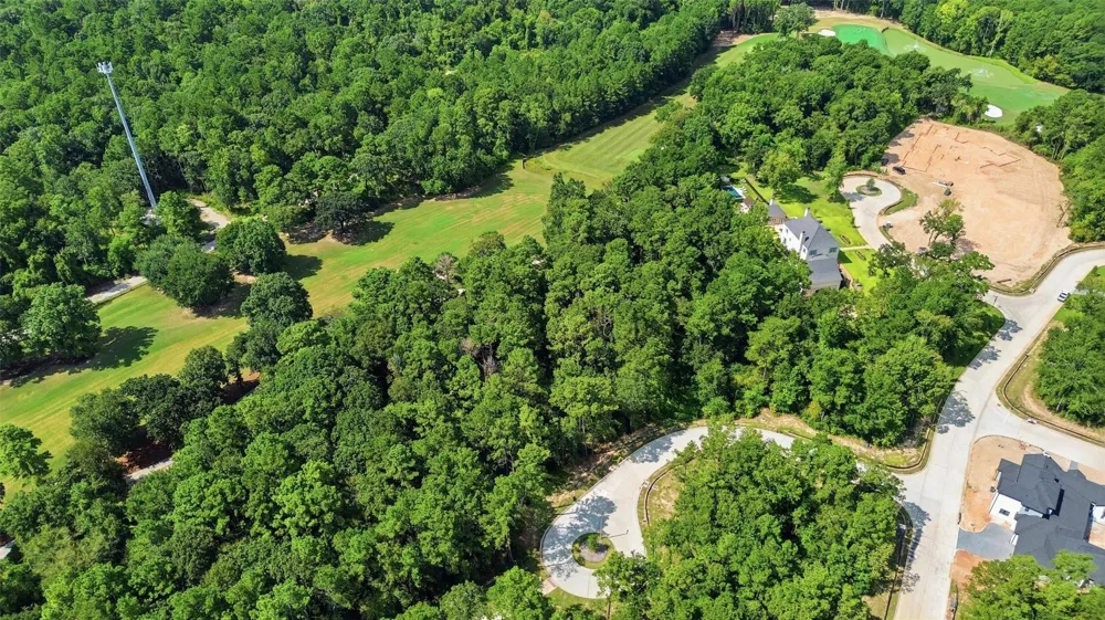 103 Chateau Pines Court Montgomery, TX 77316