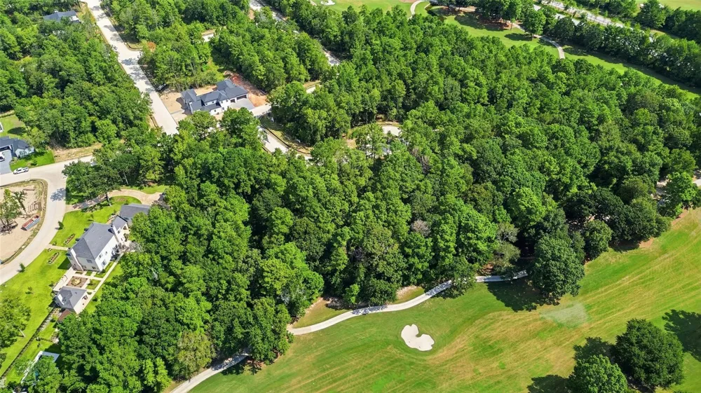 103 Chateau Pines Court Montgomery, TX 77316