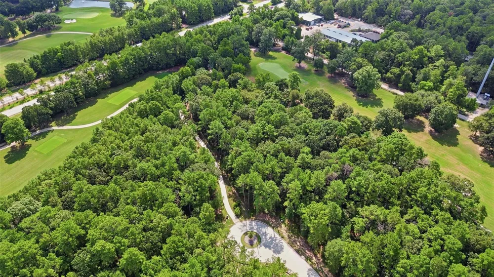 103 Chateau Pines Court Montgomery, TX 77316