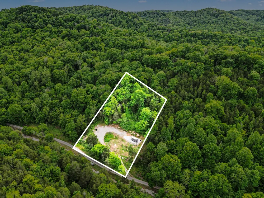 19167 Happy Hollow Rd Buffalo Valley, TN 38548