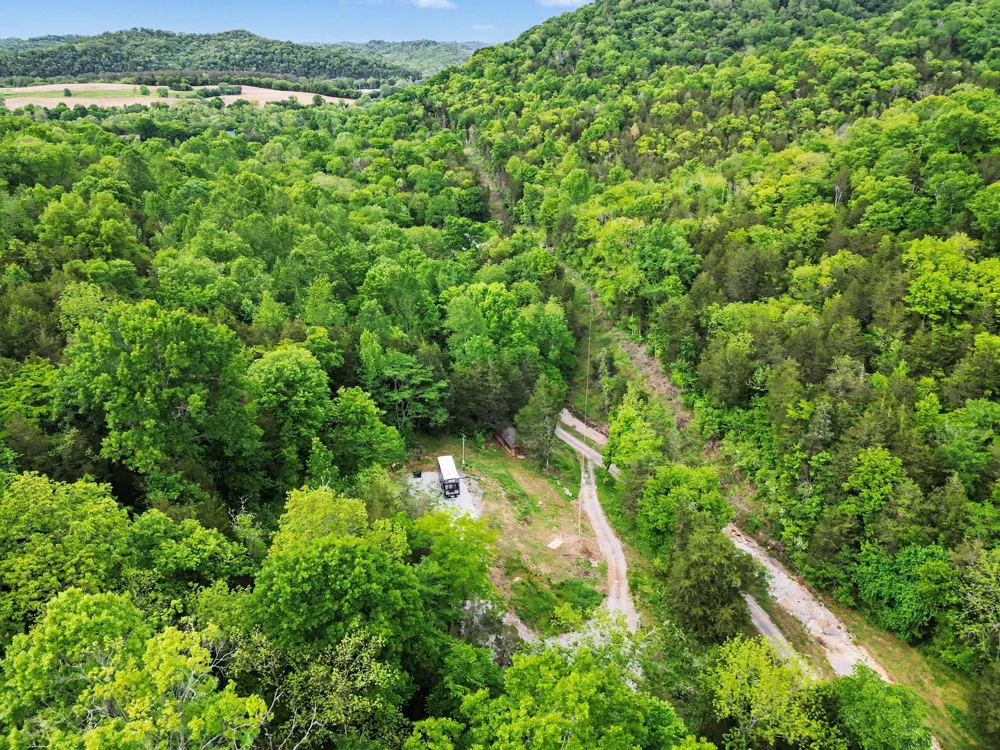 19167 Happy Hollow Rd Buffalo Valley, TN 38548