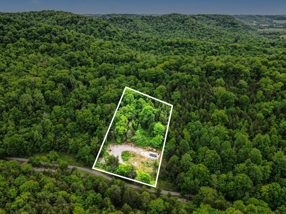 19167 Happy Hollow Rd Buffalo Valley, TN 38548