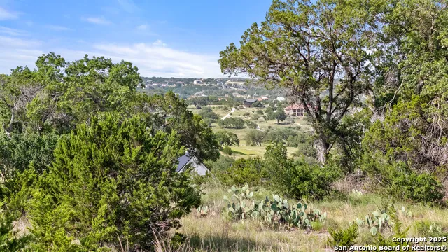 110 Enigma Avenue Spring Branch, TX 78070