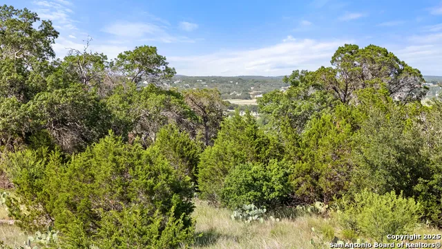 110 Enigma Avenue Spring Branch, TX 78070