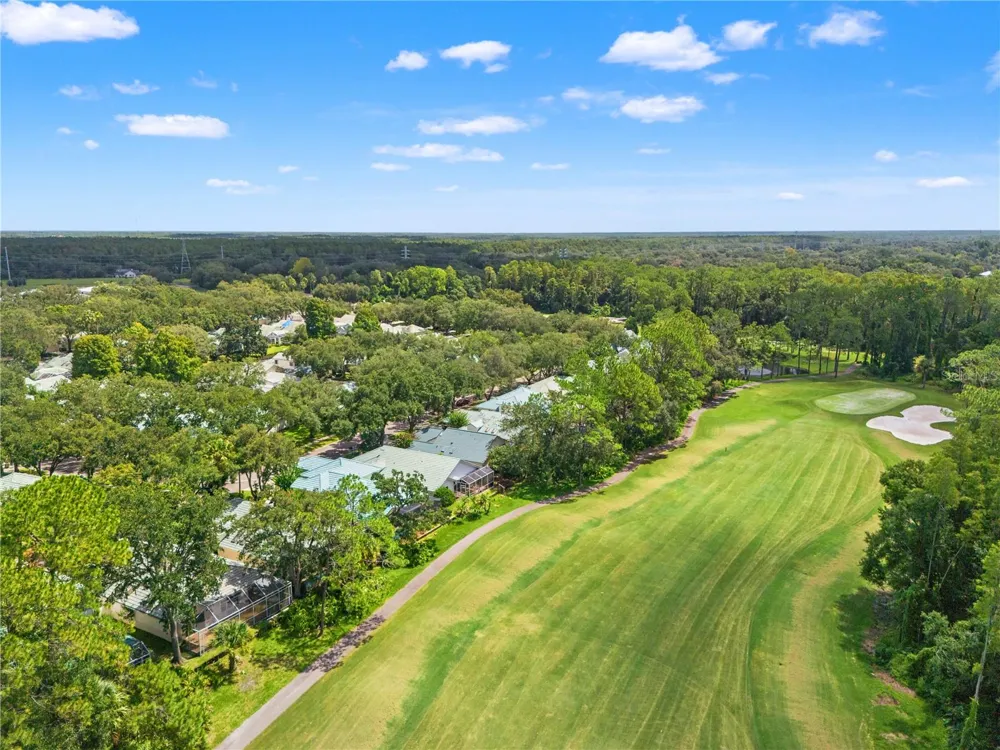 6005 FAIRWAY PALMS COURT Tampa, FL 33647