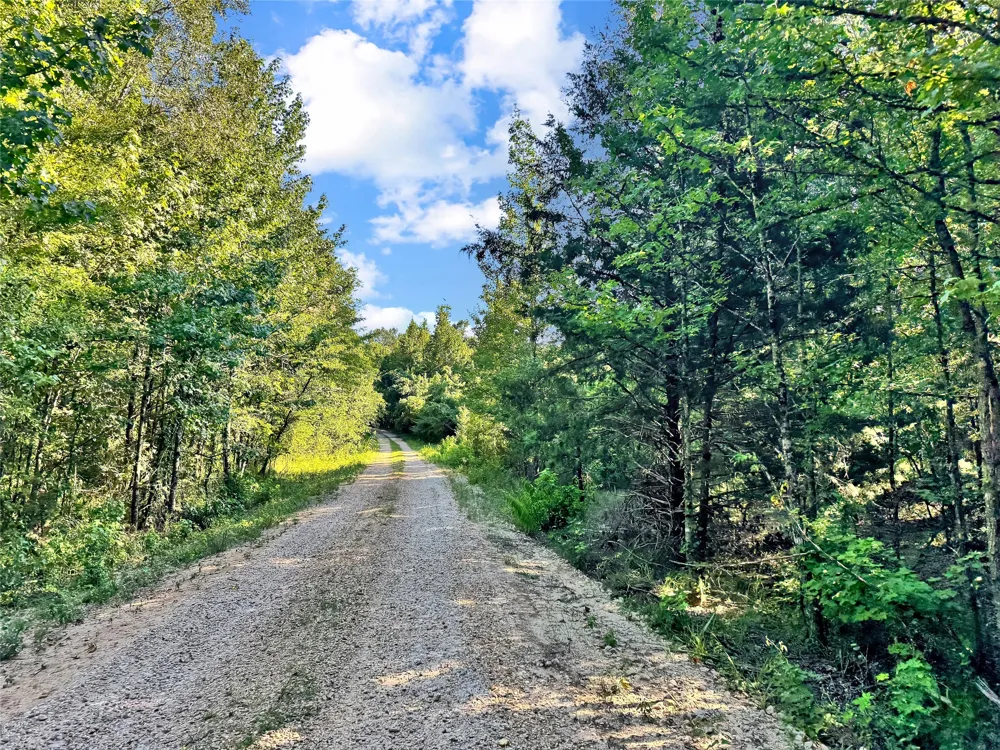 PR 5040 & 5041 Bogata, TX 75417