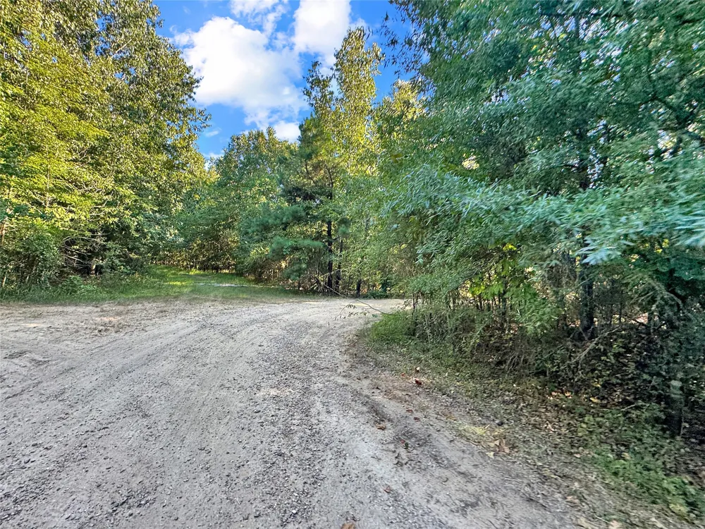 PR 5040 & 5041 Bogata, TX 75417