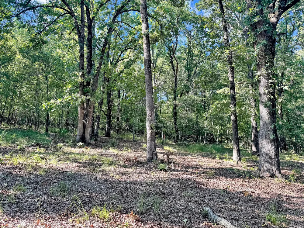 PR 5040 & 5041 Bogata, TX 75417