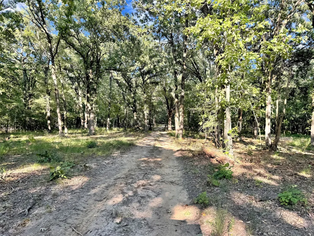 PR 5040 & 5041 Bogata, TX 75417