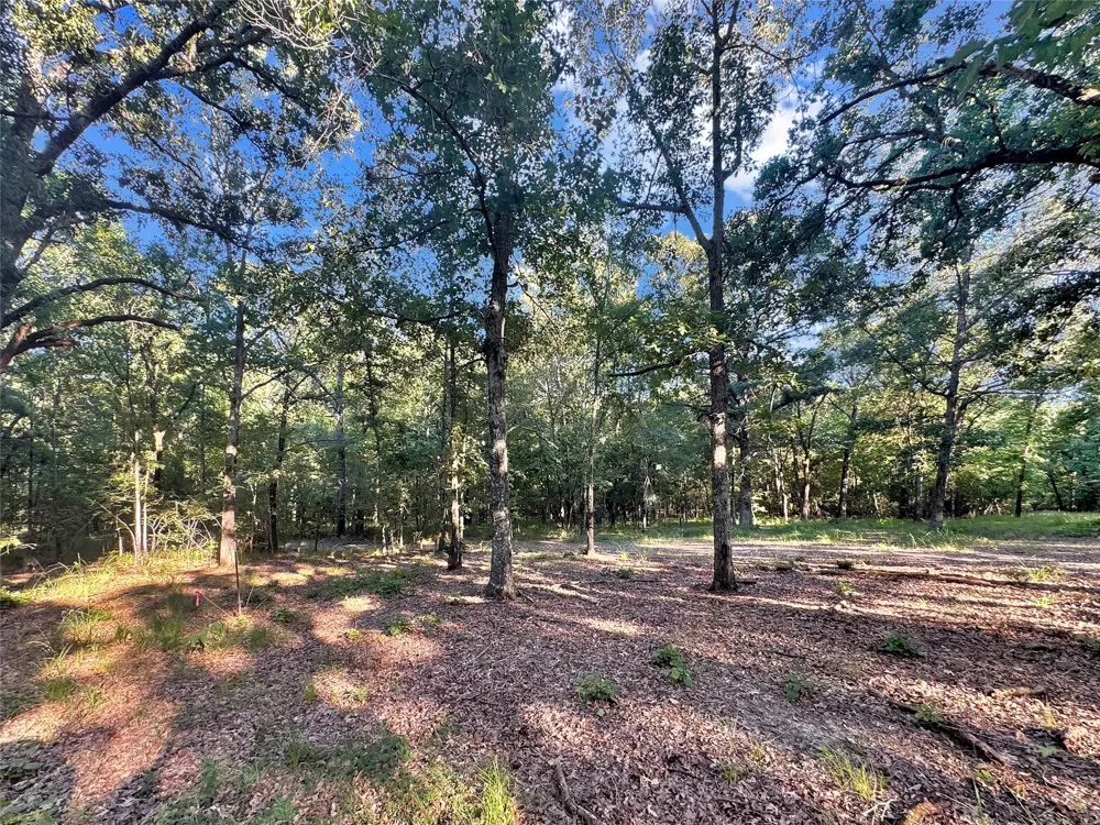 PR 5040 & 5041 Bogata, TX 75417