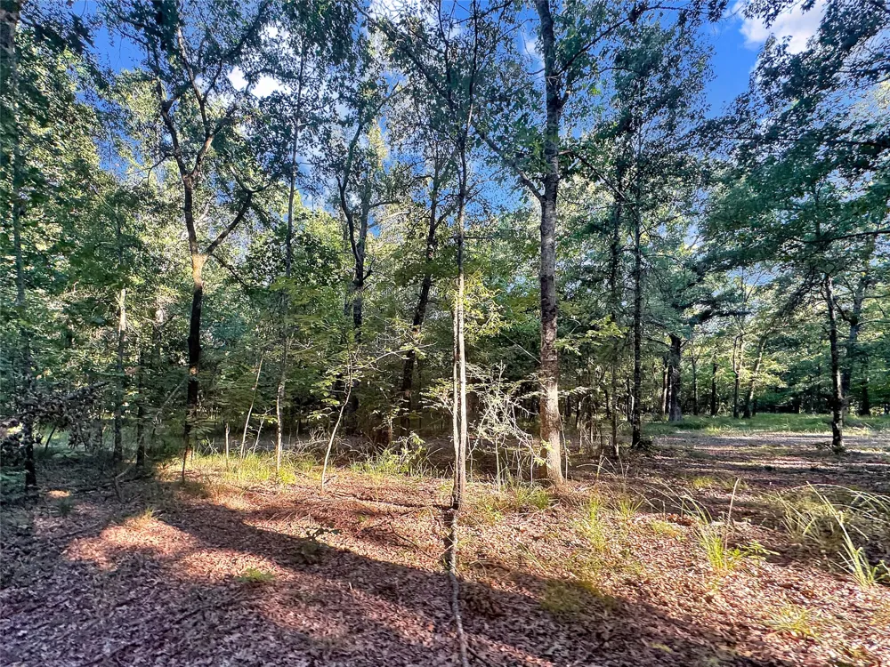 PR 5040 & 5041 Bogata, TX 75417