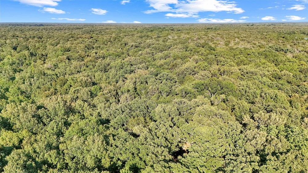 PR 5040 & 5041 Bogata, TX 75417