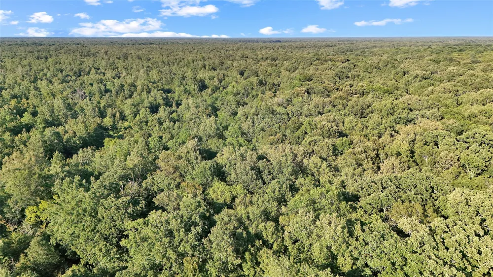 PR 5040 & 5041 Bogata, TX 75417