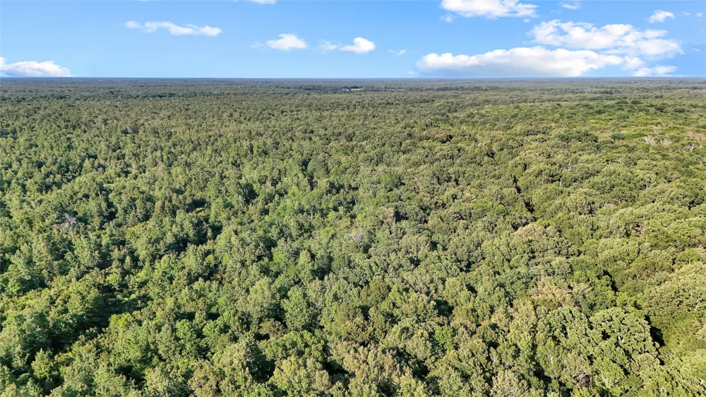 PR 5040 & 5041 Bogata, TX 75417
