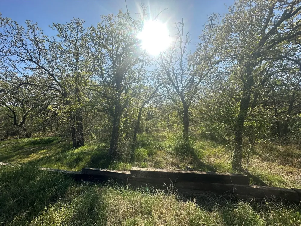 1550 Three Skillet Road Springtown, TX 76082