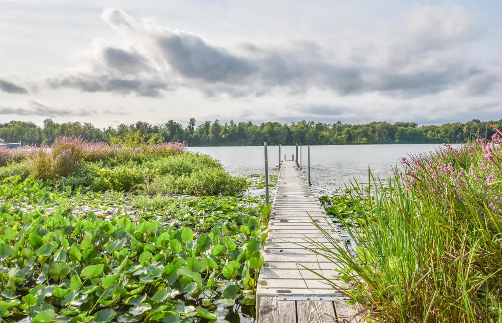 416 W Russell Drive Ovid Township, MI 49036