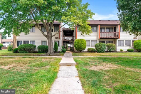 AVON DRIVE