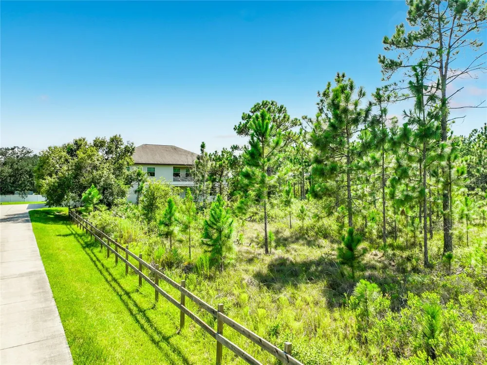19504 ROBERTSON STREET Orlando, FL 32833