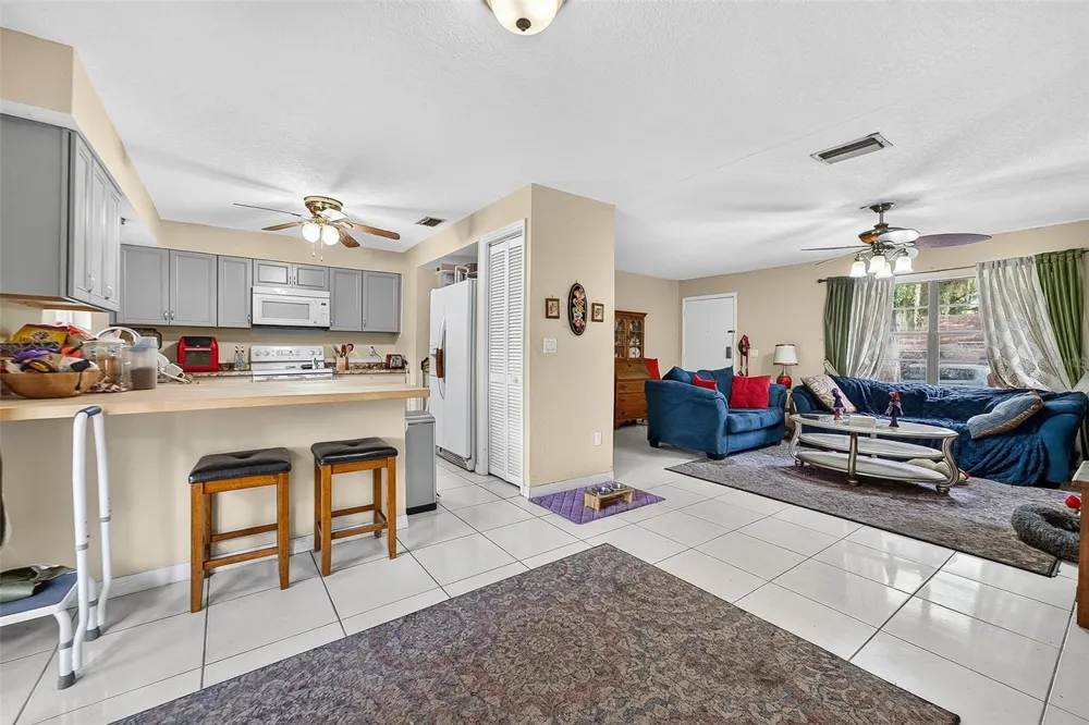 1917 CEDARBROOKE DRIVE Lutz, FL 33549