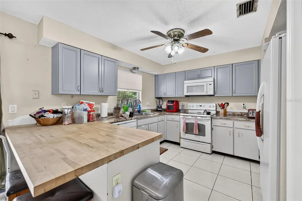 1917 CEDARBROOKE DRIVE Lutz, FL 33549