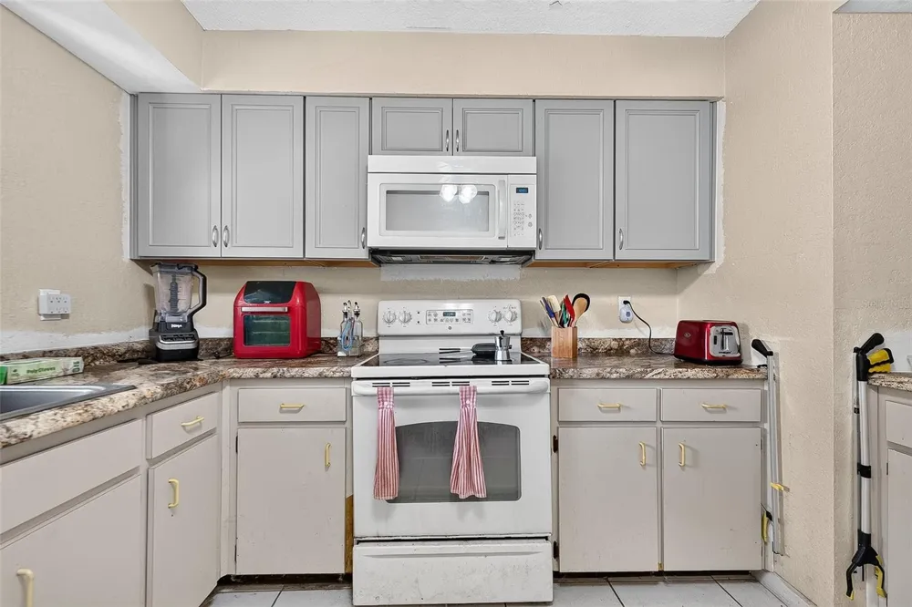1917 CEDARBROOKE DRIVE Lutz, FL 33549
