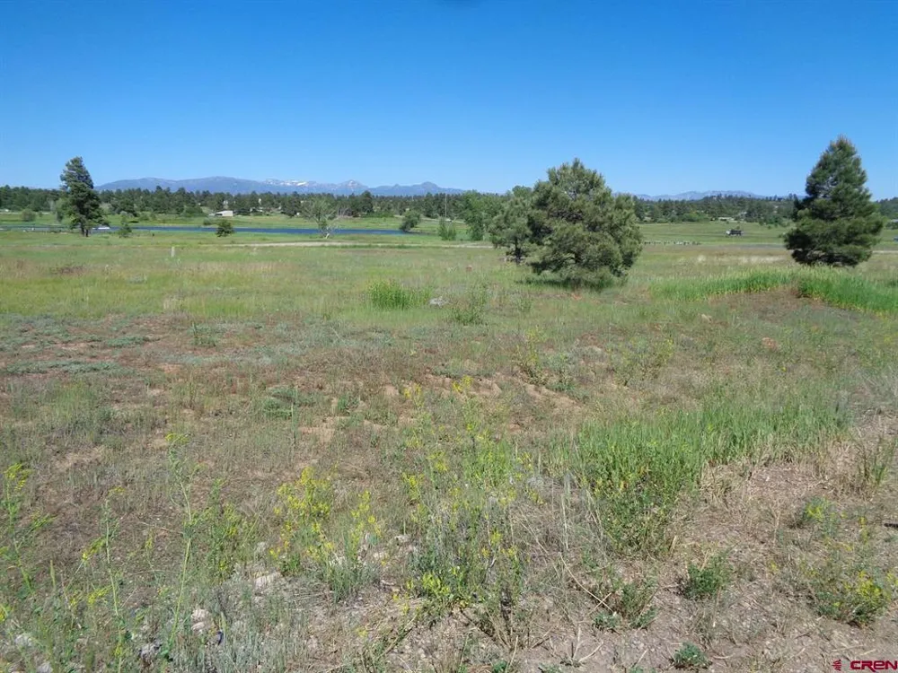 153 Greenway Drive Pagosa Springs, CO 81147