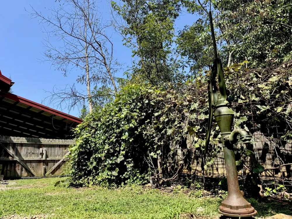 4782 Squirrel Hunting Road Morganton, GA 30560