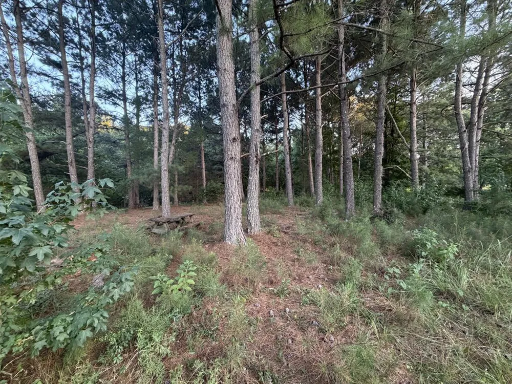 LOT 12-J SEC 1 Waterview Court Cataula, GA 31804