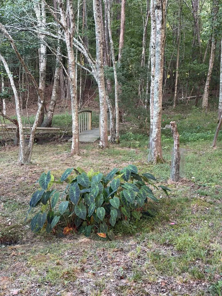 LOT 12-J SEC 1 Waterview Court Cataula, GA 31804