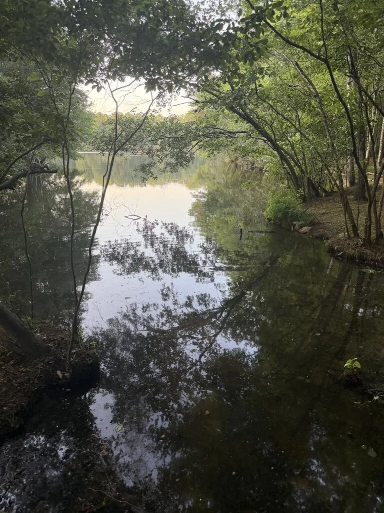 LOT 12-J SEC 1 Waterview Court Cataula, GA 31804