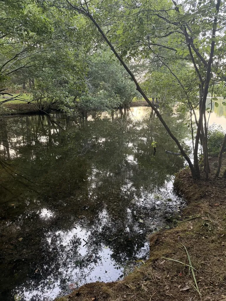LOT 12-J SEC 1 Waterview Court Cataula, GA 31804