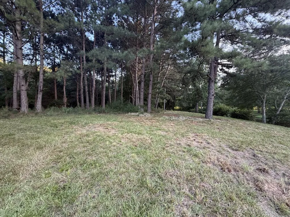 LOT 12-J SEC 1 Waterview Court Cataula, GA 31804
