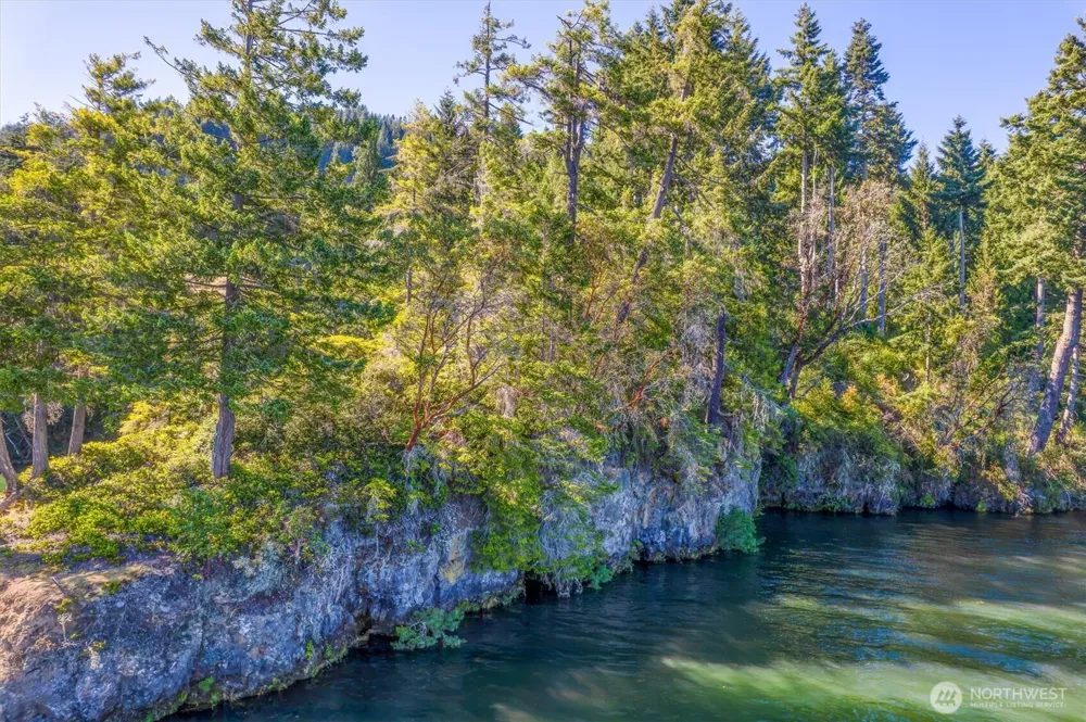 1650 E State Route 4 Cathlamet, WA 98612