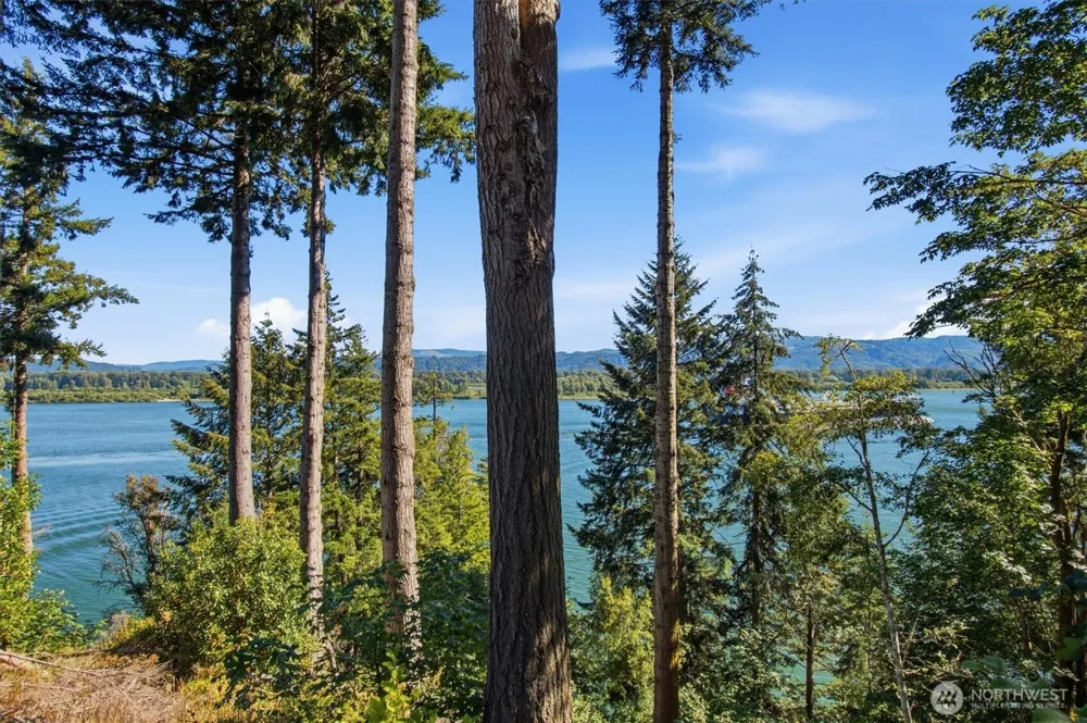 1650 E State Route 4 Cathlamet, WA 98612