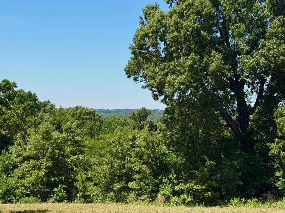 261 HIGH POINT COURT Athens, TX 75752