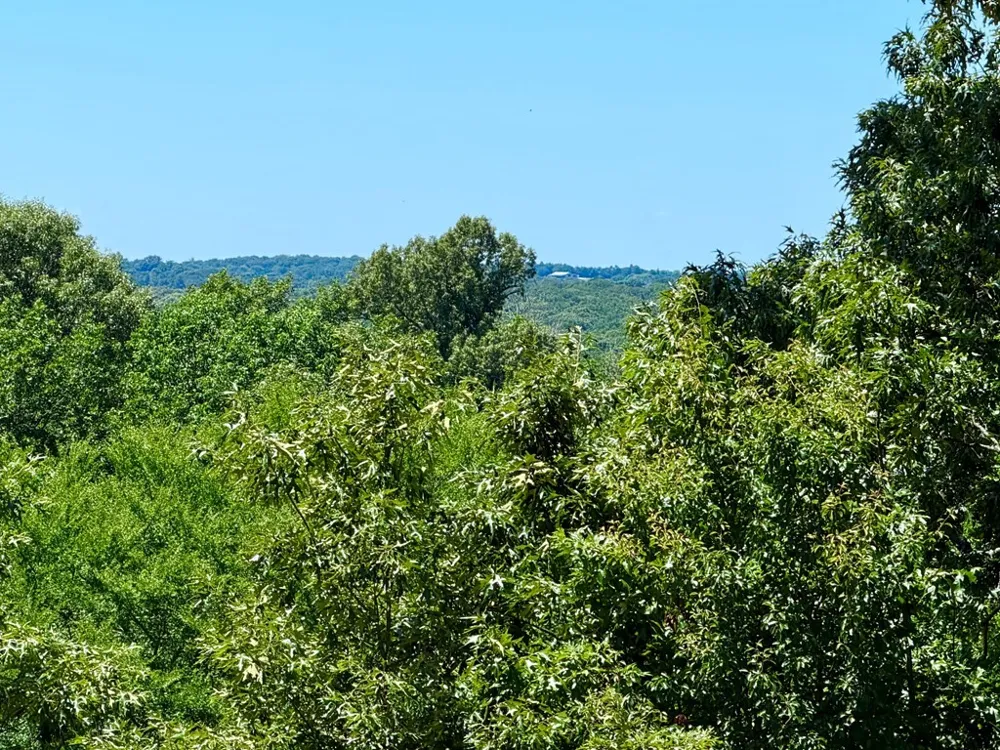 261 HIGH POINT COURT Athens, TX 75752