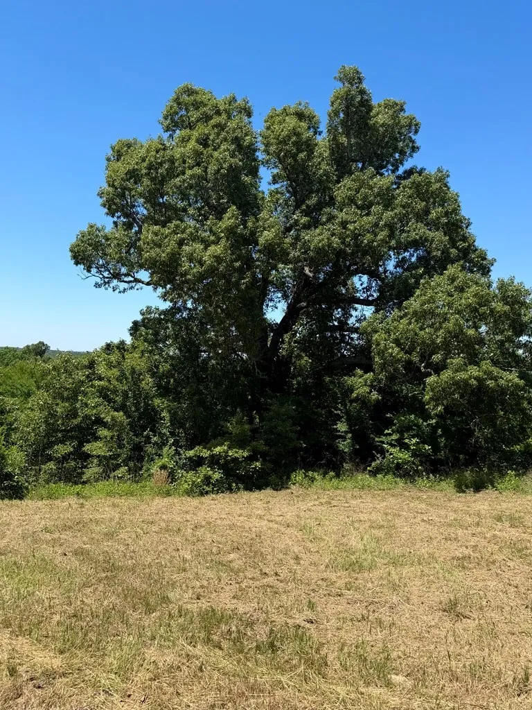 261 HIGH POINT COURT Athens, TX 75752