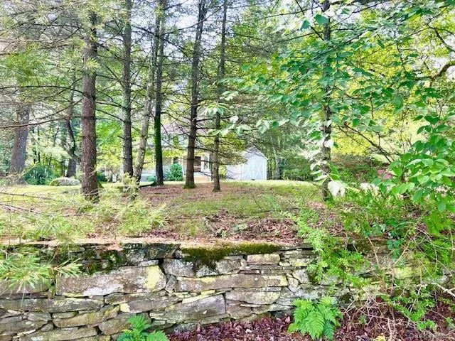 3 Rennenberg Road Highland Lake, NY 12743