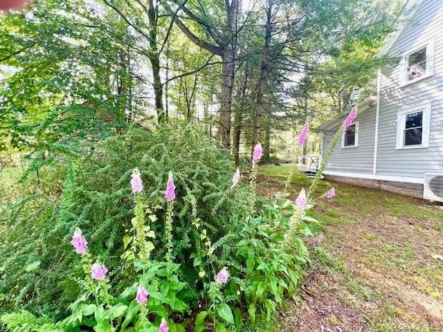 3 Rennenberg Road Highland Lake, NY 12743